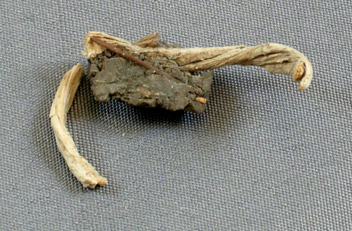 Mud Sealing Attached to a Fiber Tie from Tutankhamun's Embalming Cache, Mud 
