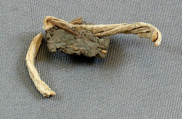 Mud Sealing Attached to a Fiber Tie from Tutankhamun's Embalming Cache