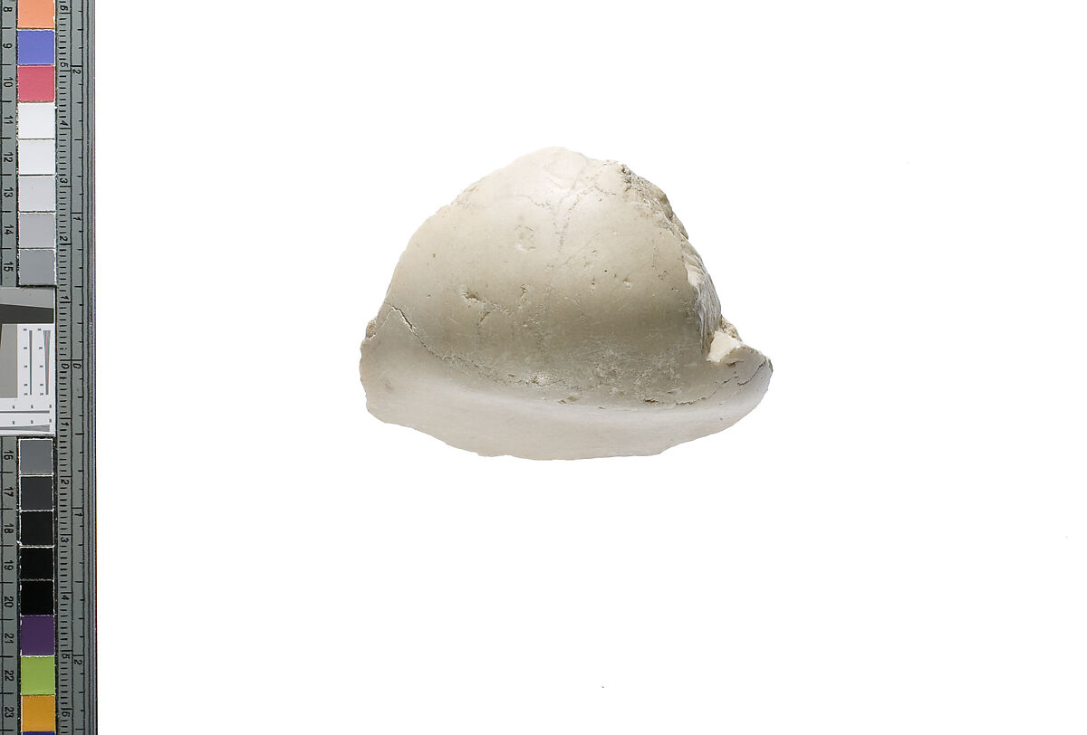 Chin (?) from a head, Indurated limestone