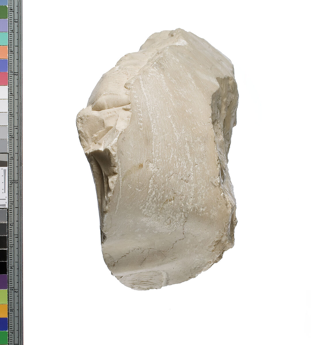Left shoulder with Aten cartouches, from statue of  Akhenaten or Nefertiti leaning forward, Indurated limestone