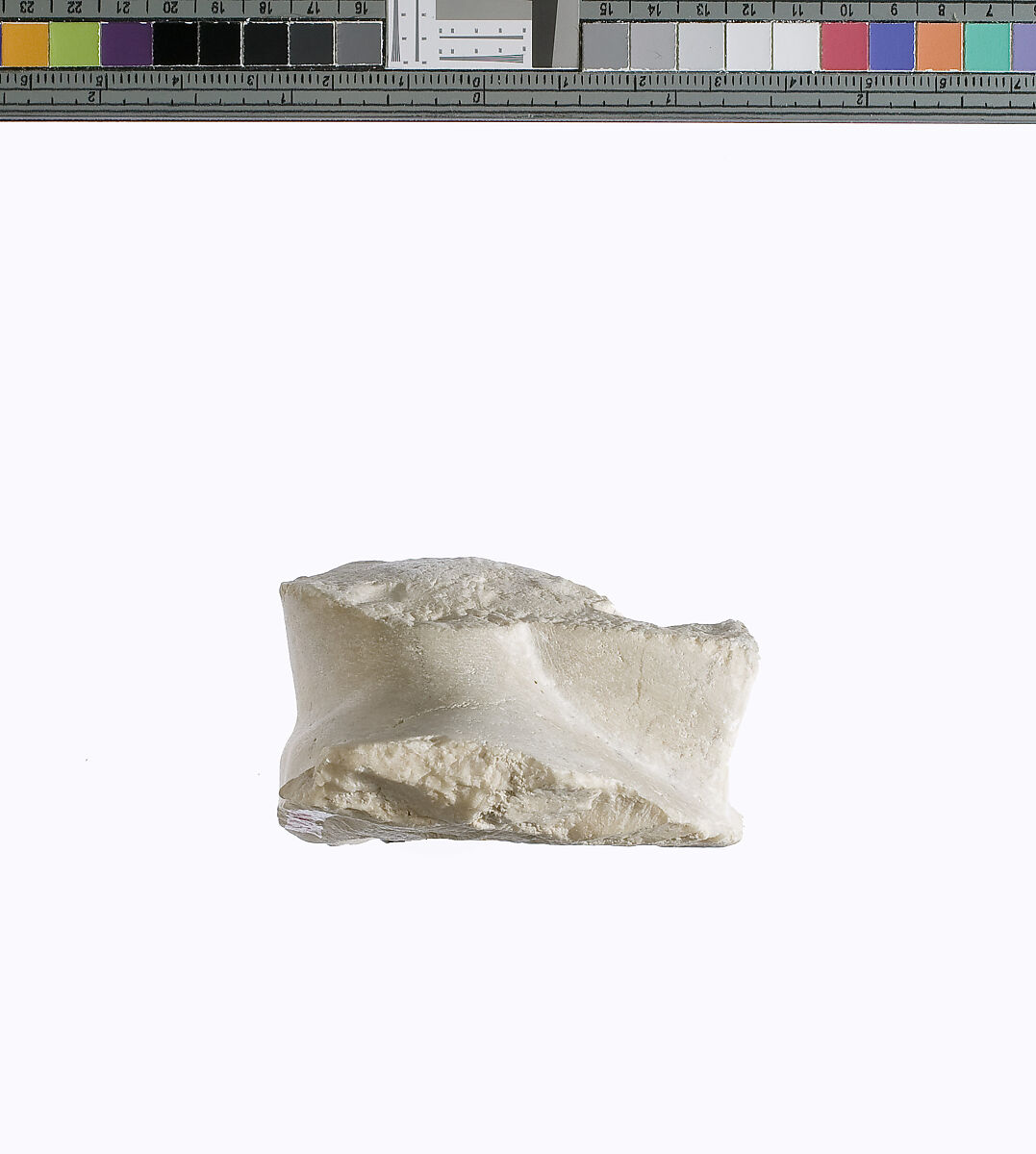 Chest of  statuette of Akhenaten prostrate (?), Indurated limestone