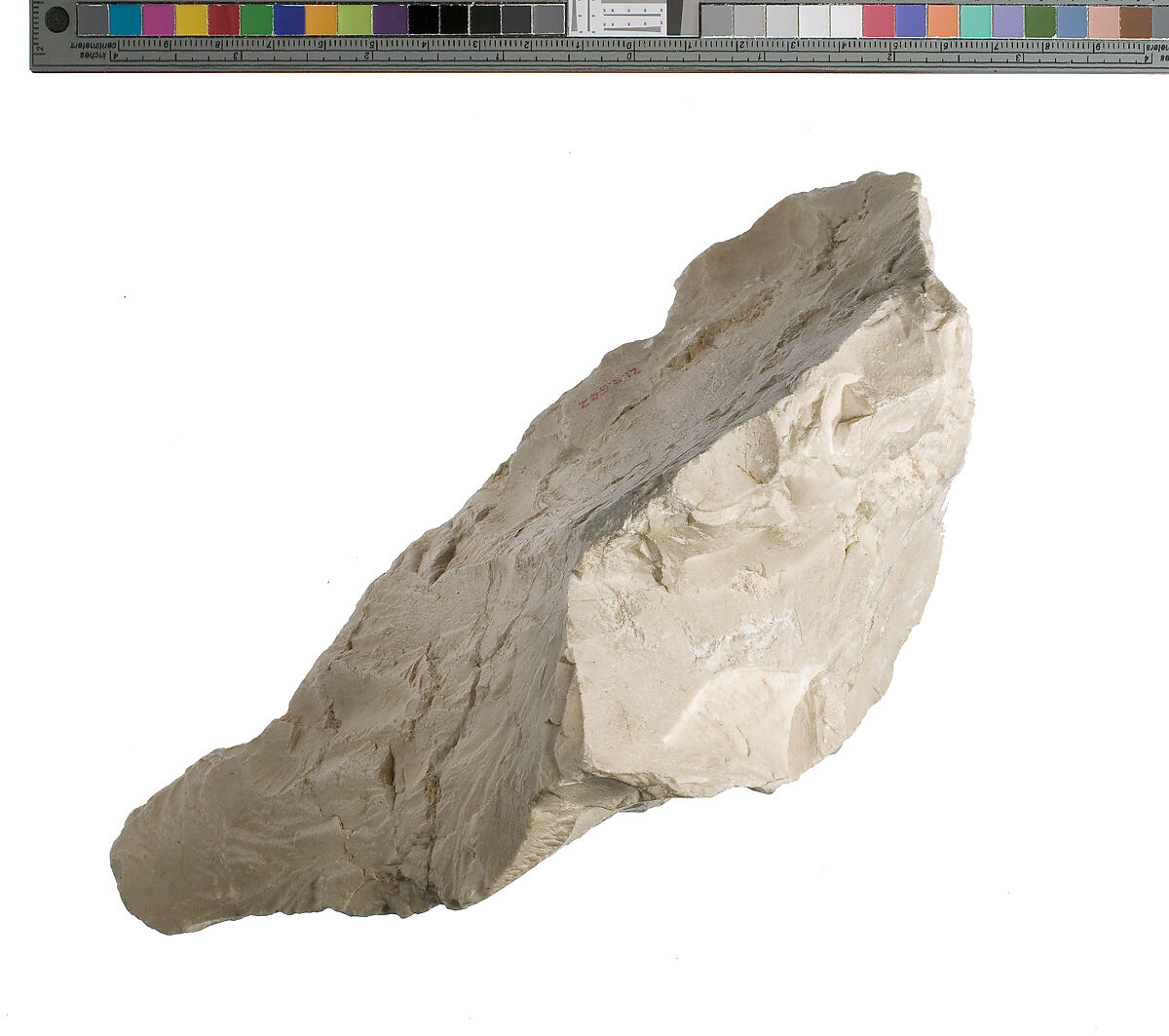 Foot and leg of Akhenaten or Nefertiti prostrate, Indurated limestone