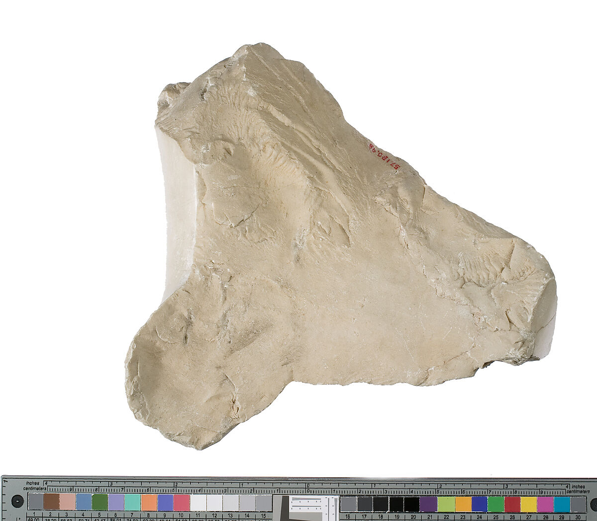 Foot and leg of Akhenaten or Nefertiti prostrate, Indurated limestone