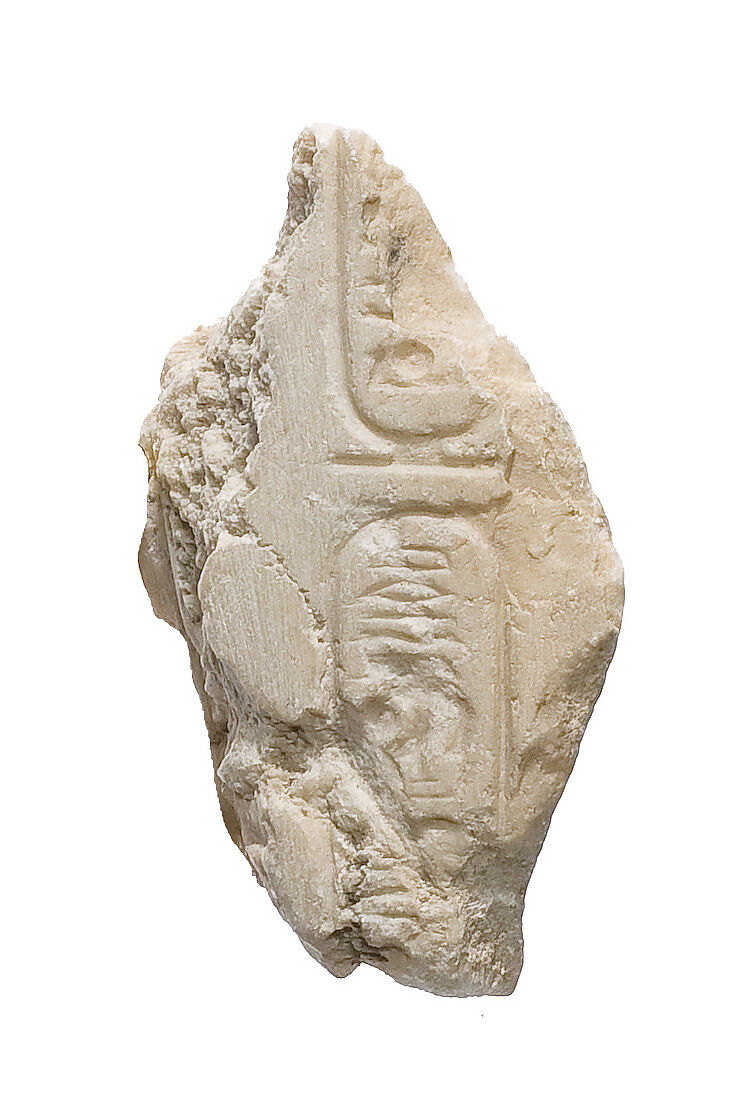 Cobra hood with Aten cartouche, Indurated limestone 