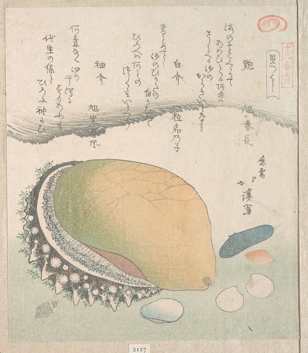 Awabi (Ear-Shell) and Various Shells, Totoya Hokkei (Japanese, 1780–1850), Woodblock print (surimono); ink and color on paper, Japan 