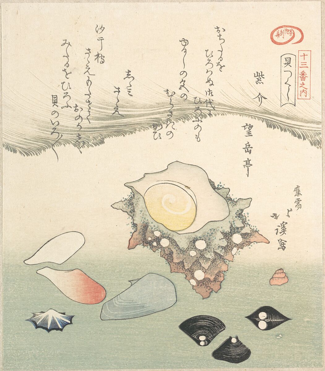 Top-Shell and Various Shells, Totoya Hokkei (Japanese, 1780–1850), Woodblock print (surimono); ink and color on paper, Japan 