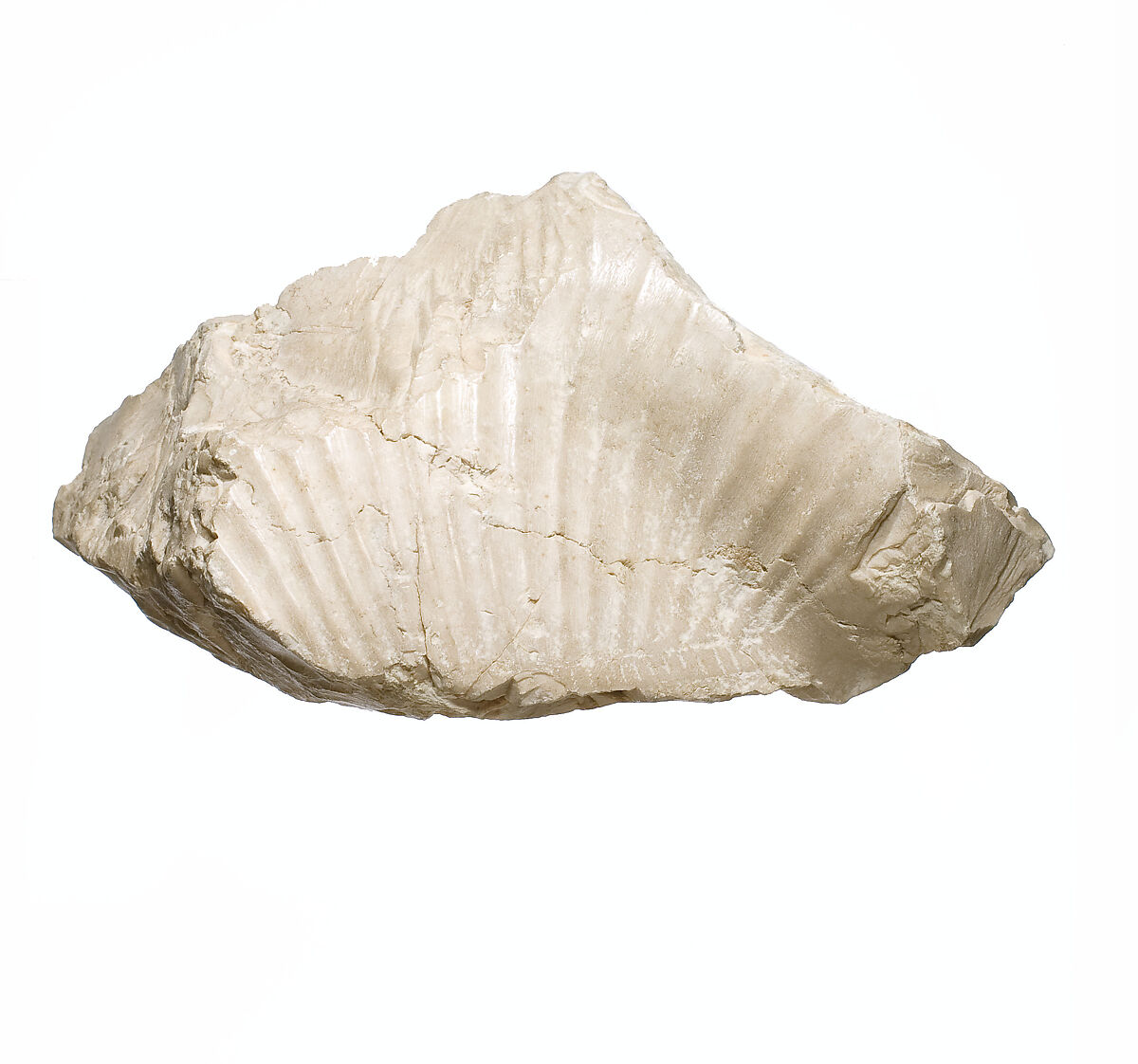 Nefertiti breast and shoulder fragment, cartouche [of Aten], Indurated limestone