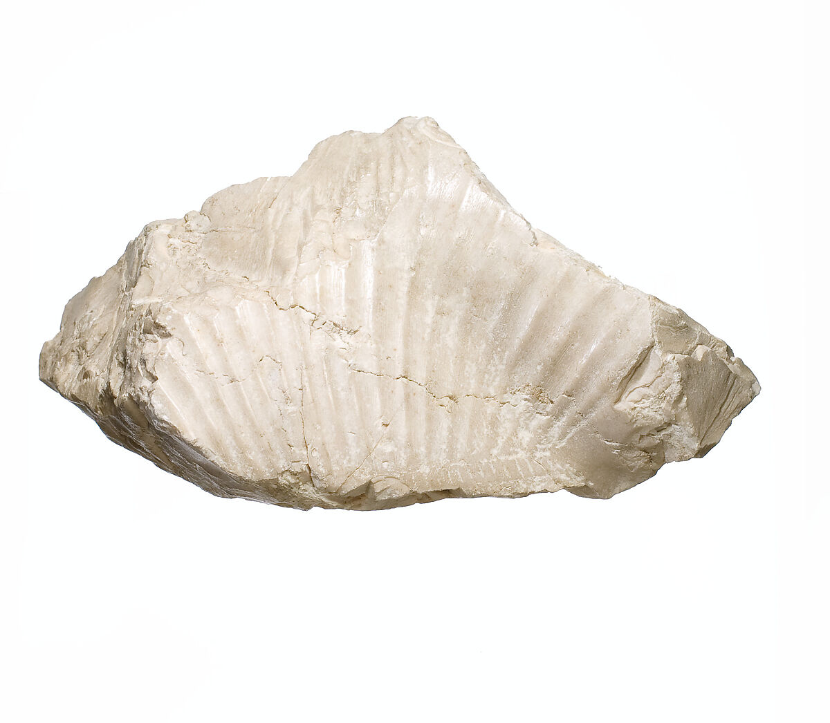 Nefertiti breast and shoulder fragment, cartouche [of Aten], Indurated limestone