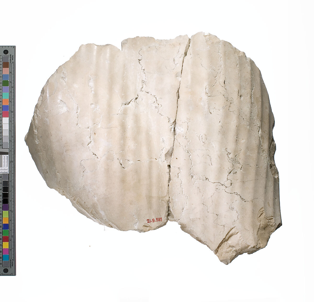 Thighs of Nefertiti, Indurated limestone