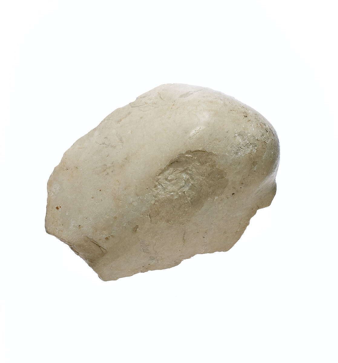 Elbow, with garment, Indurated limestone