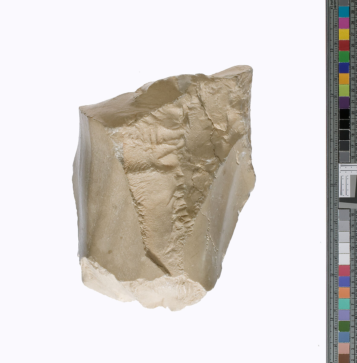 Knee with pleated garment, Indurated limestone