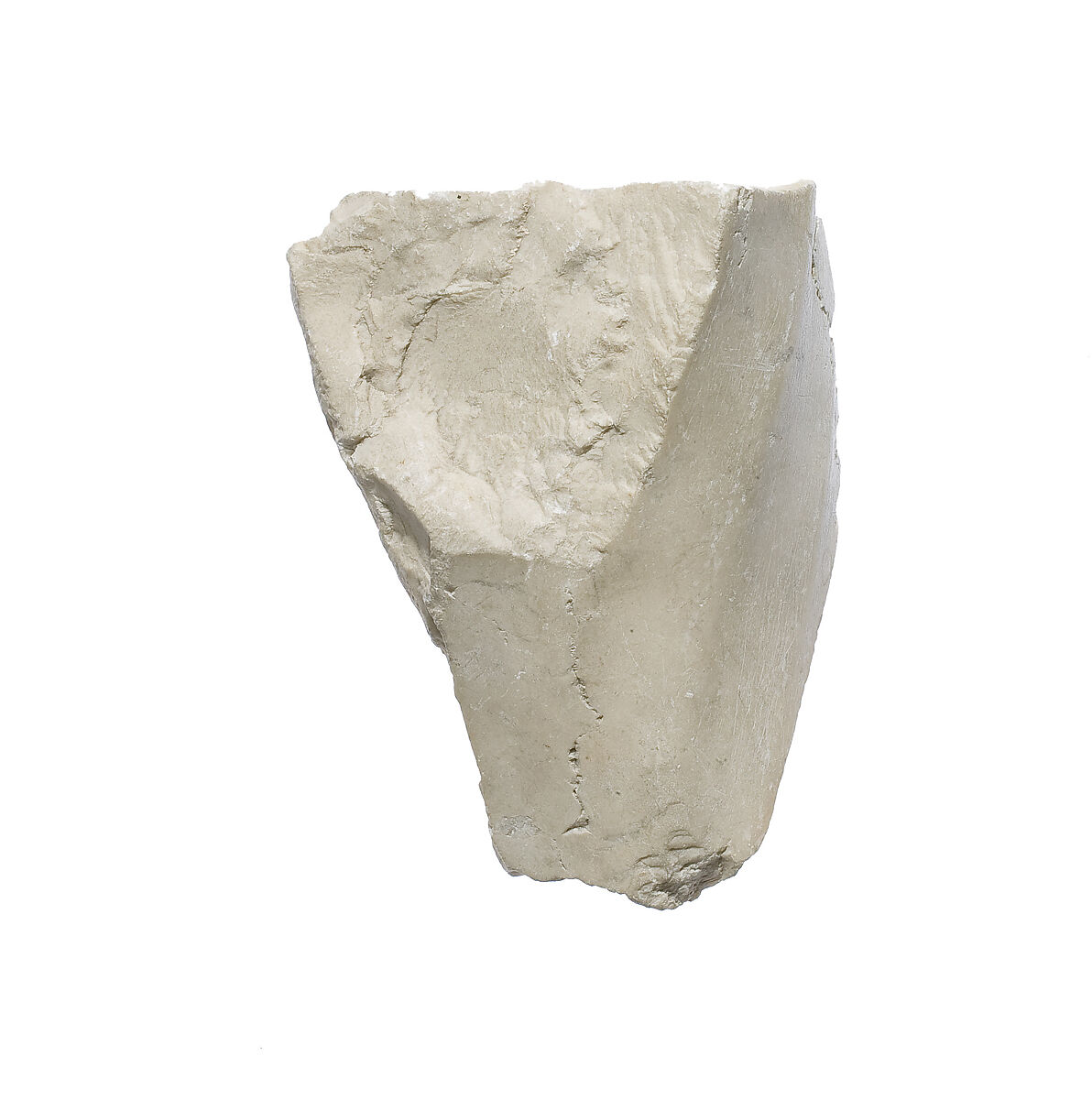 Knee with garment, pleats, Indurated limestone 