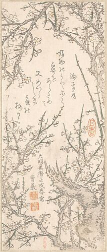 Plum Tree in Blossom