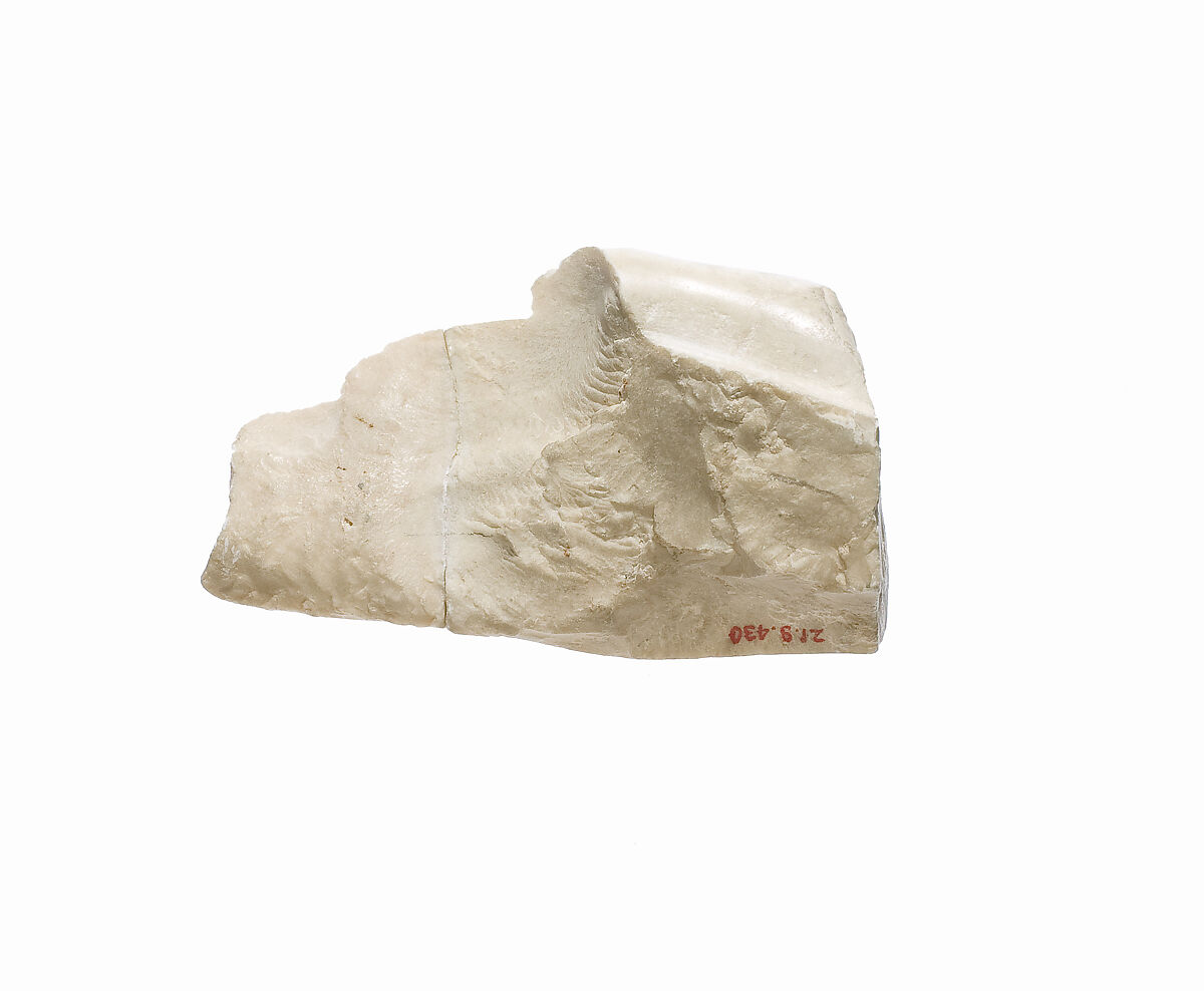 Hand, Indurated limestone