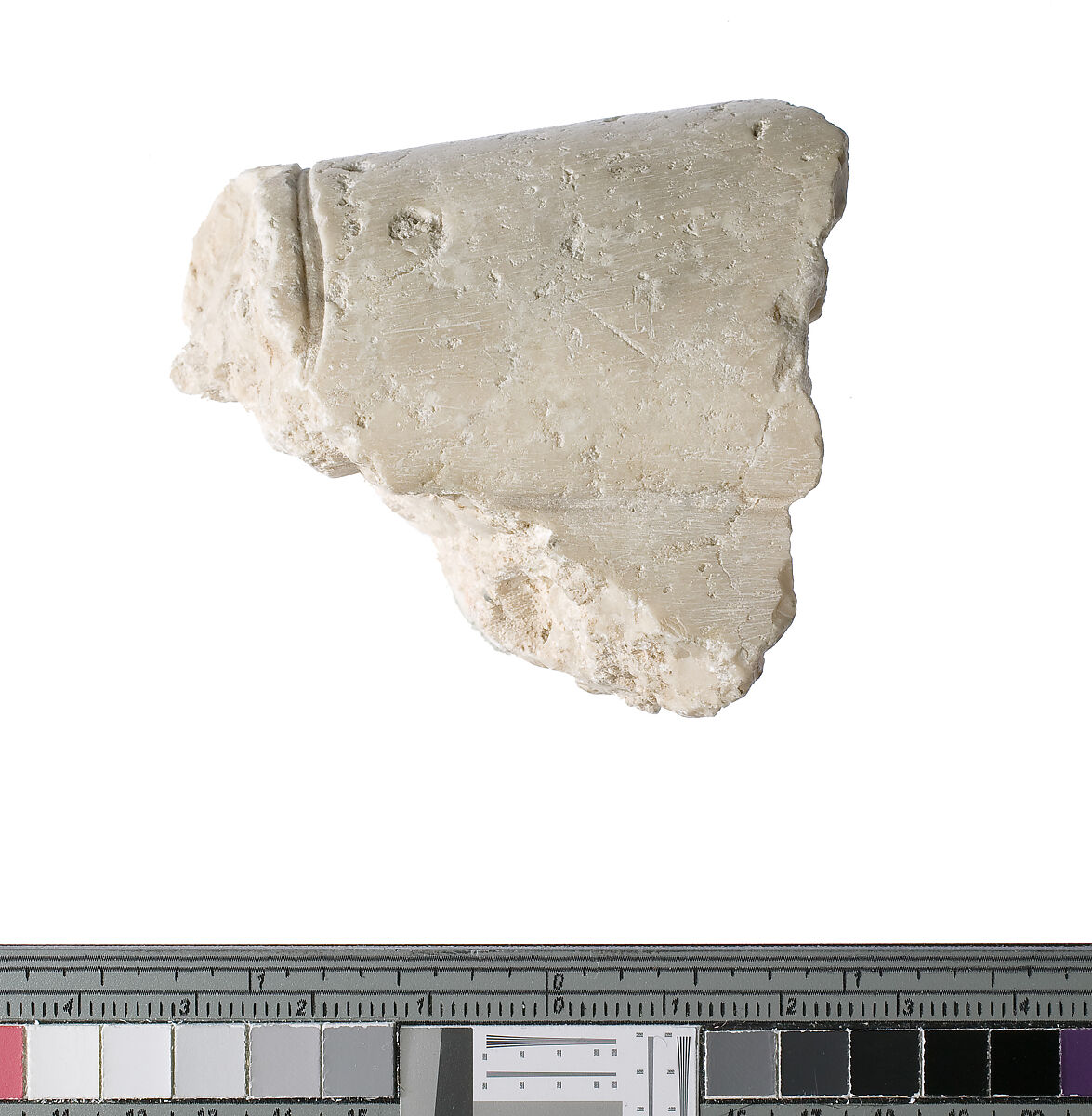 Left forearm with Aten cartouche, Indurated limestone