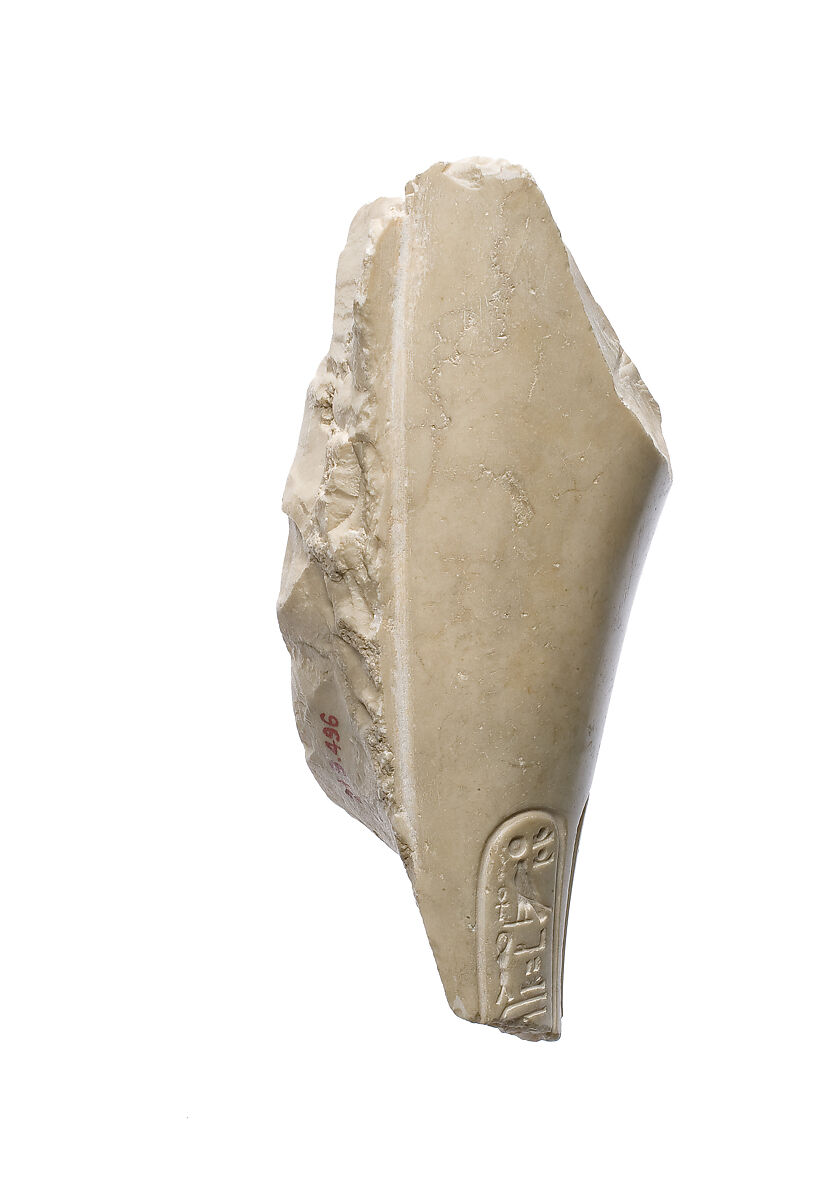 Forearm with Aten cartouche, Indurated limestone