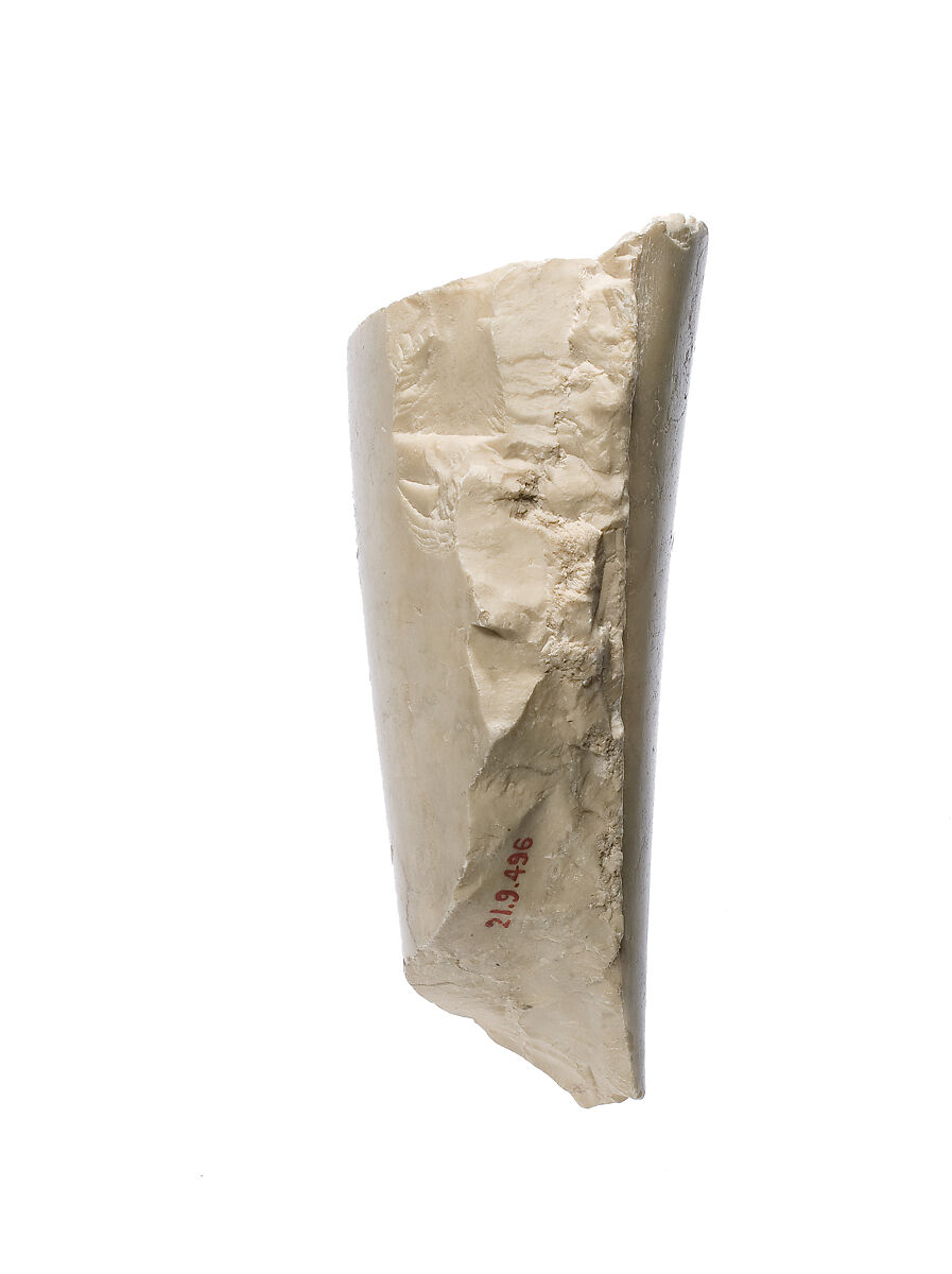 Forearm with Aten cartouche, Indurated limestone