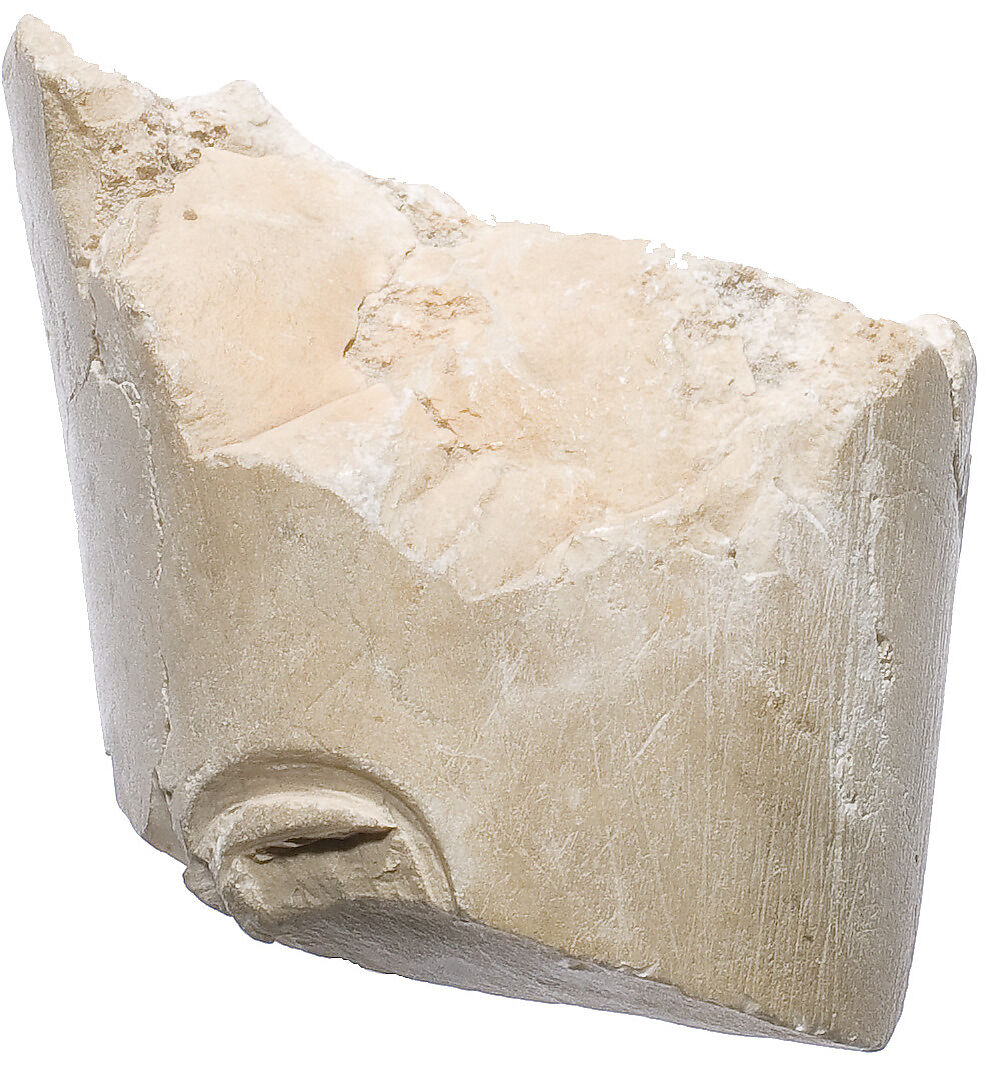 Arm with Aten cartouche, Indurated limestone 