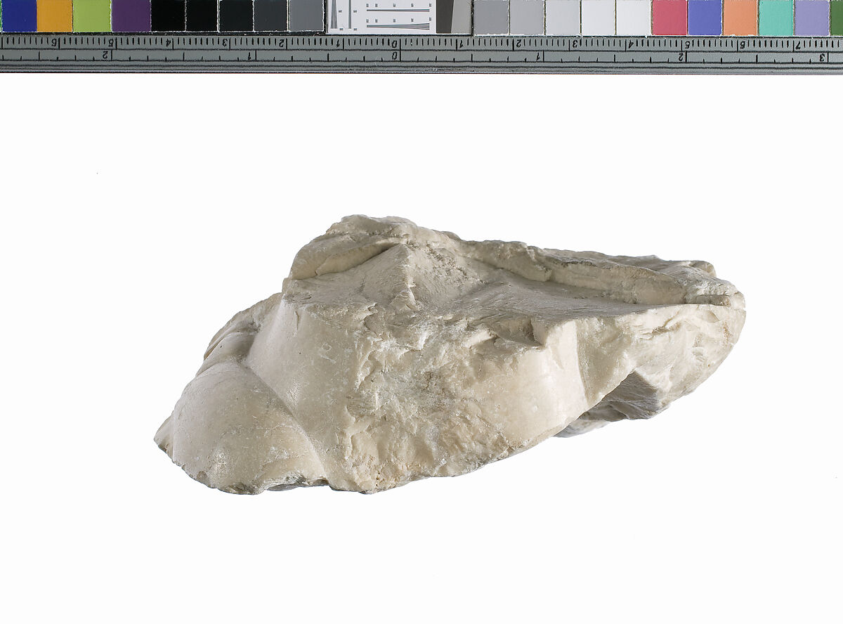 Foot fragment, Indurated limestone