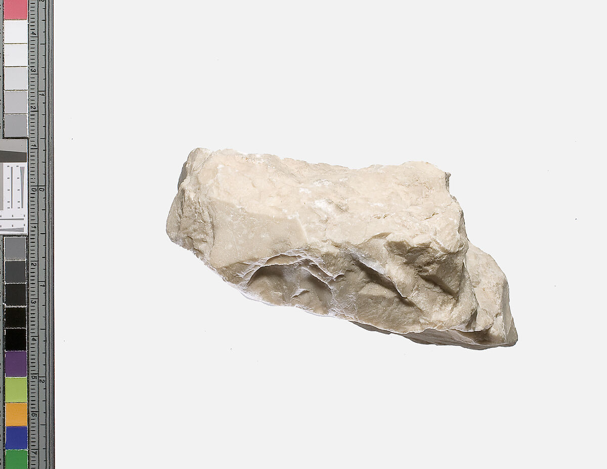 Foot fragment, Indurated limestone