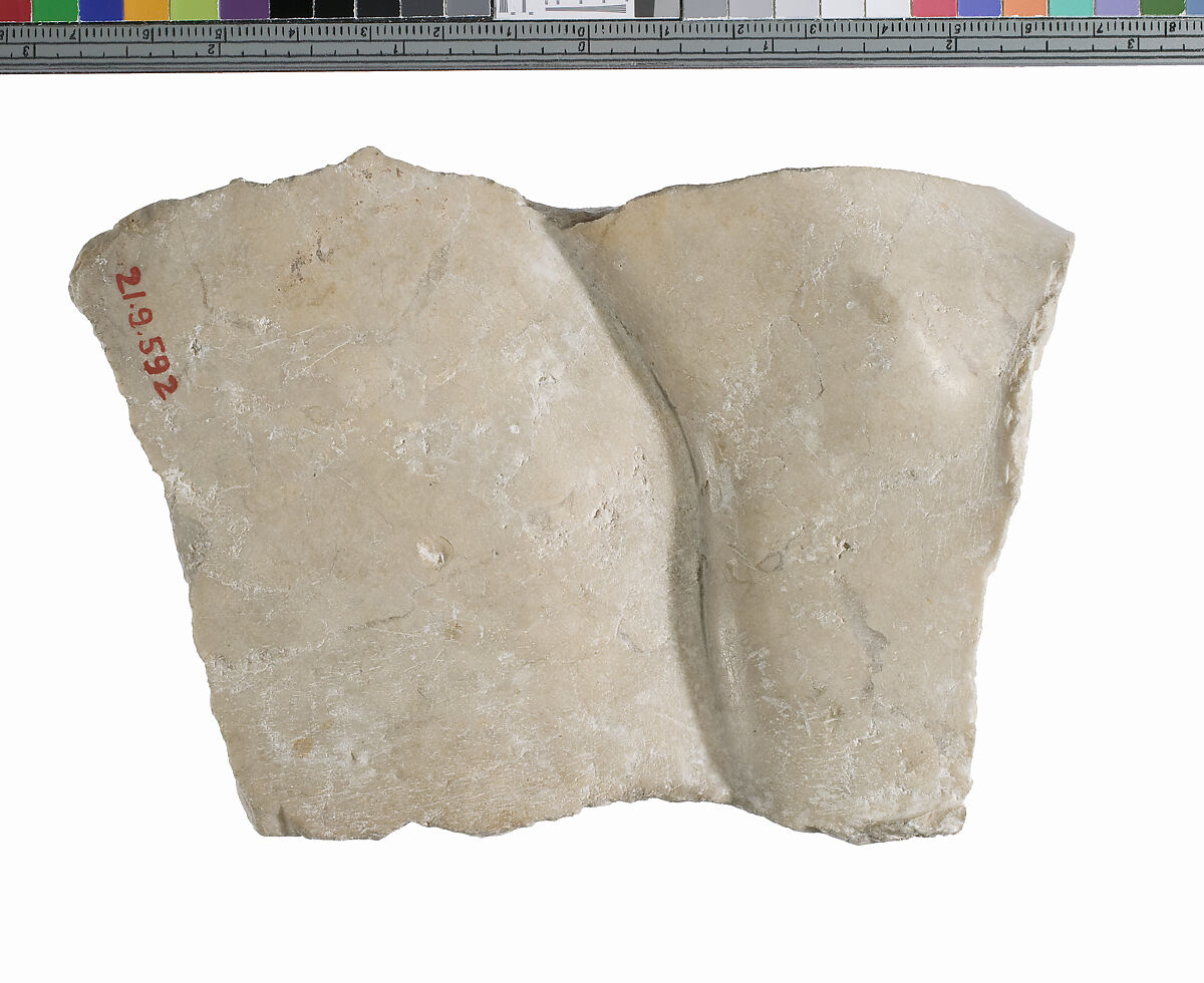 Left foot fragment, Indurated limestone
