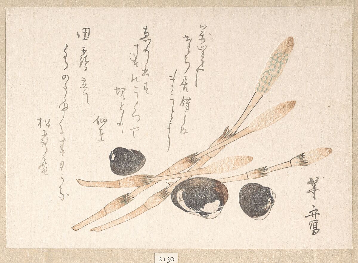 Tsukushi Plant and Shijimi Shells, Uematsu Tōshū (Japanese, active late 1810s–20s), Woodblock print (surimono); ink and color on paper, Japan 