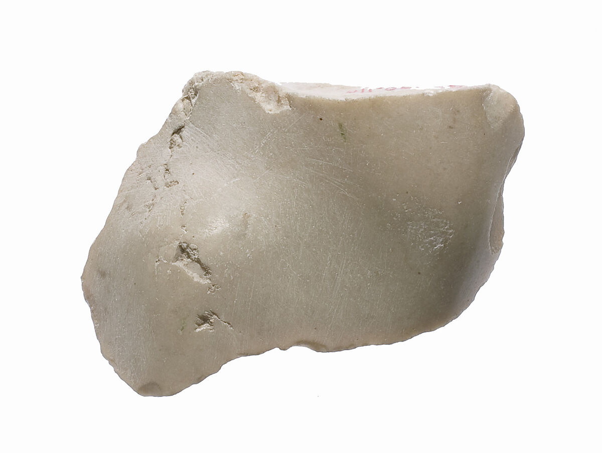 Foot fragment?, Indurated limestone 