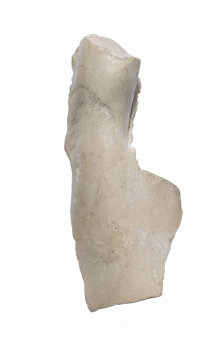 Digit fragment, Indurated limestone 