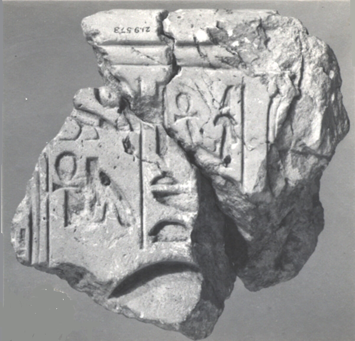 Balustrade fragment, Indurated limestone 