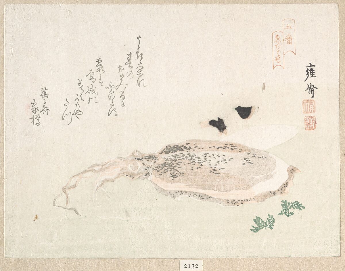 Cuttle Fish, Kikuchi Yōsai (Japanese, 1788–1878), Woodblock print (surimono); ink and color on paper, Japan 