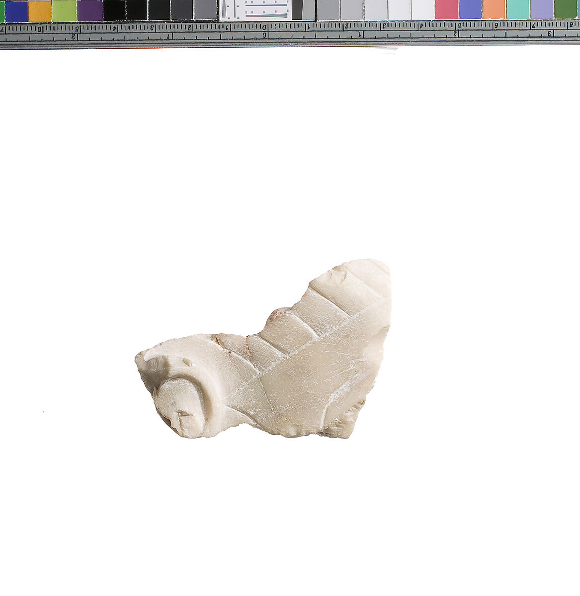Nemes fragment joining British Museum EA 13366, Indurated limestone