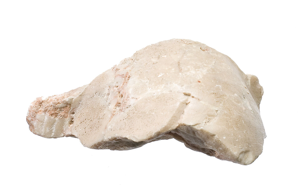 Shoulder with garment and wig, Indurated limestone 