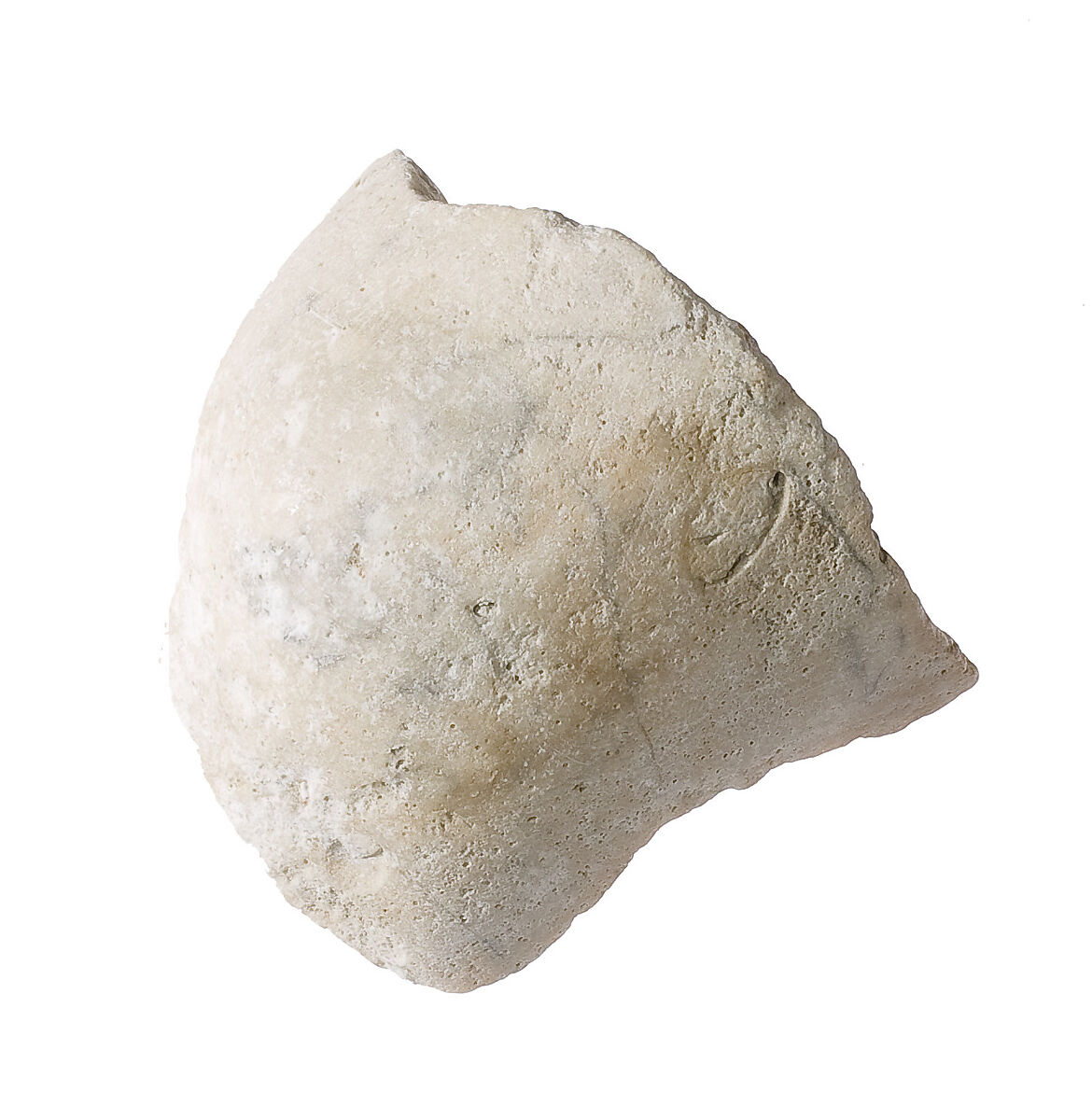 Elbow (?), Indurated limestone 