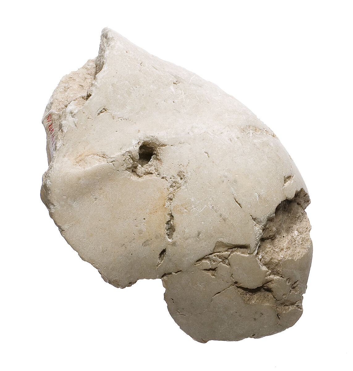 Akhenaten shoulder, Indurated limestone 