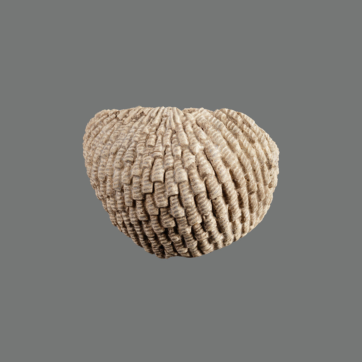 Wig fragment, Faience
