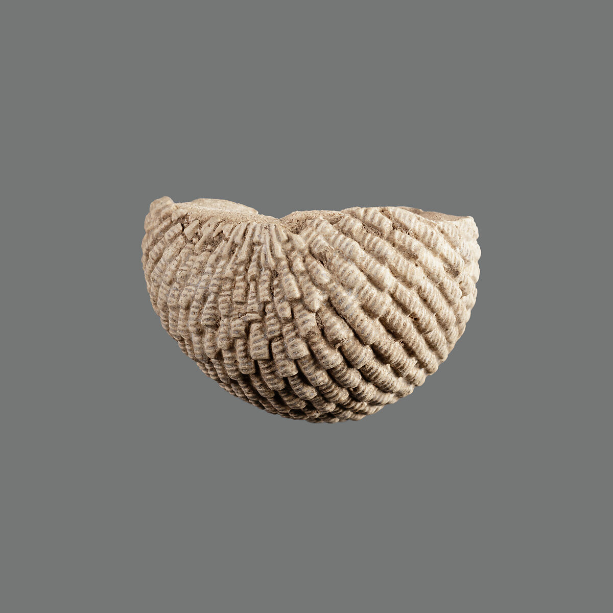 Wig fragment, Faience