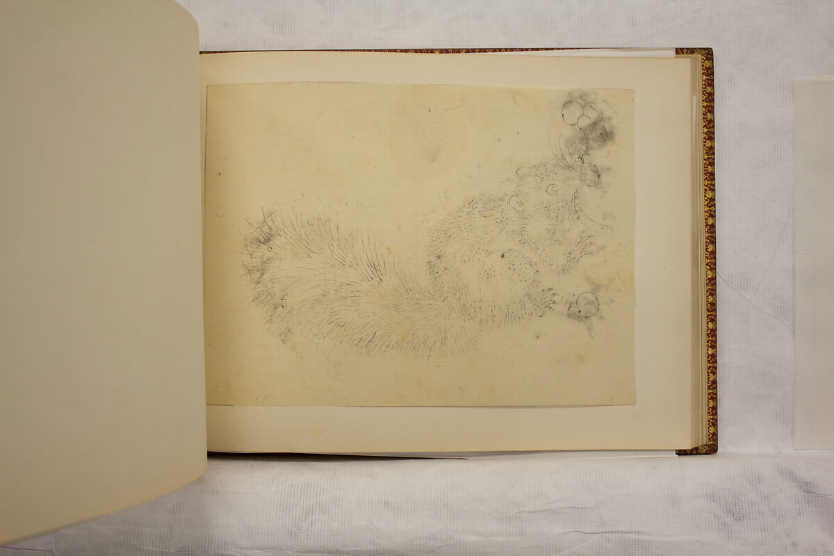 Album of Sketches and Drawings, Unidentified artist, Album; ink and color on paper, Japan