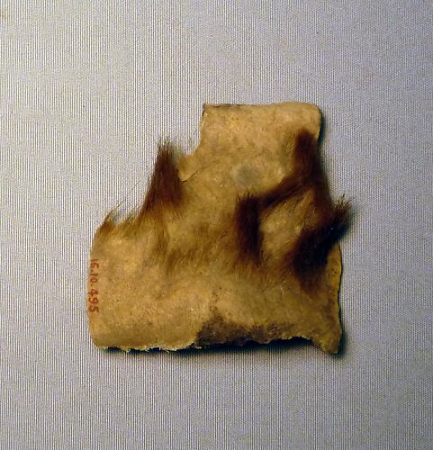 Hide Fragment From Foundation Deposit 2 of Hatshepsut's Valley Temple