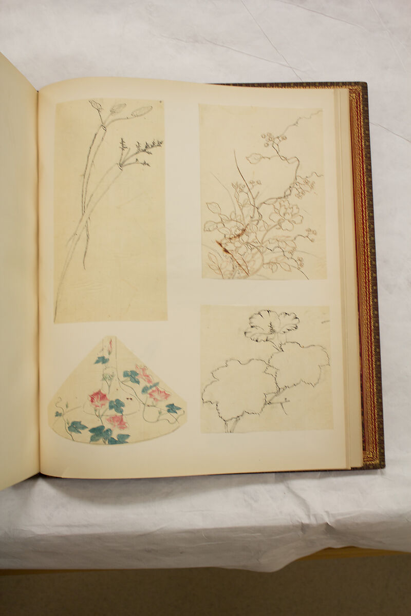 Album of Sketches and Drawings, Unidentified artist, Album; ink and color on paper, Japan