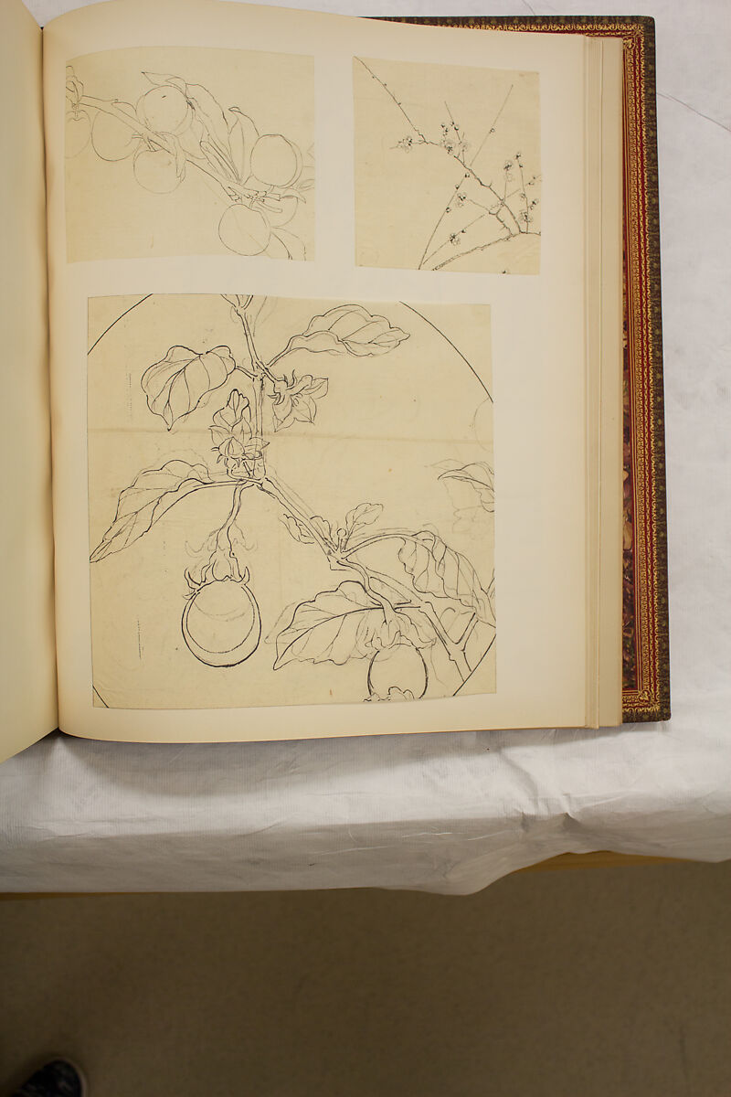 Album of Sketches and Drawings, Unidentified artist, Album; ink and color on paper, Japan