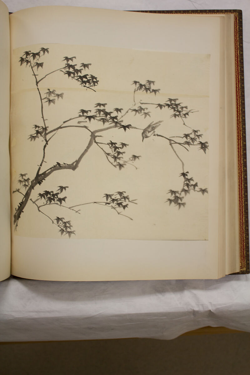 Album of Sketches and Drawings, Unidentified artist, Album; ink and color on paper, Japan