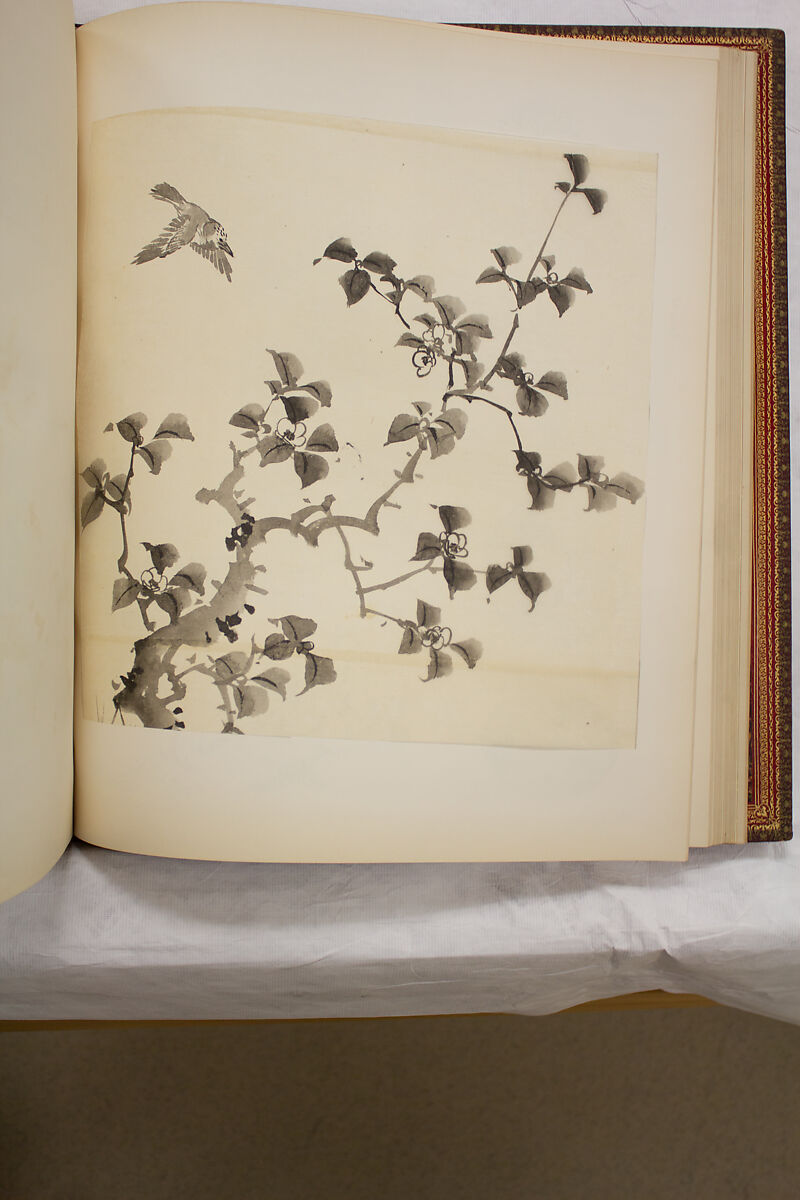 Album of Sketches and Drawings, Unidentified artist, Album; ink and color on paper, Japan