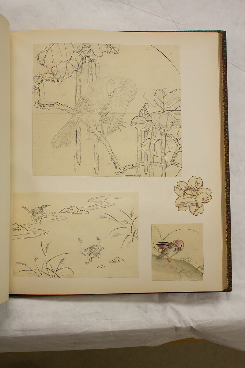 Album of Sketches and Drawings, Unidentified artist, Album; ink and color on paper, Japan