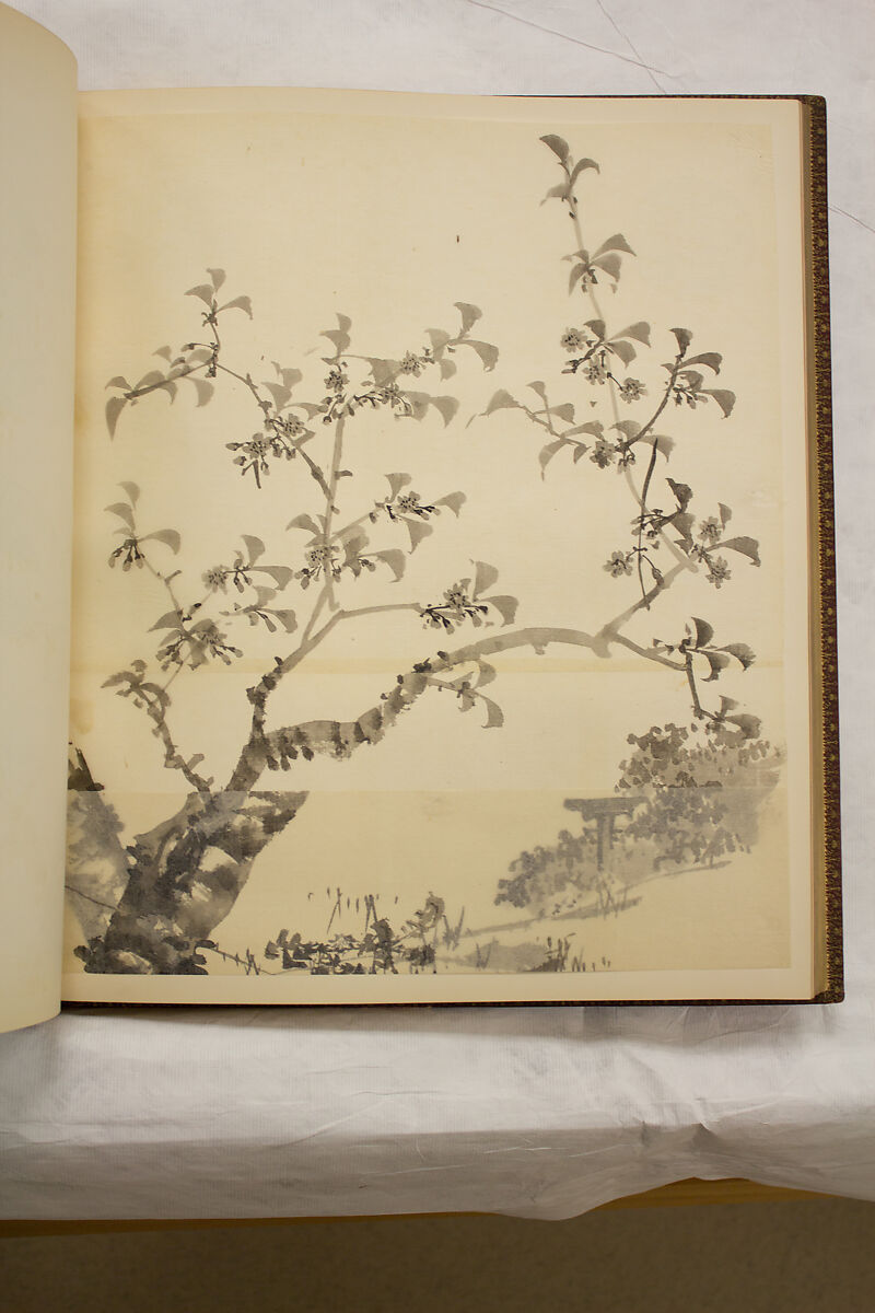 Album of Sketches and Drawings, Unidentified artist, Album; ink and color on paper, Japan