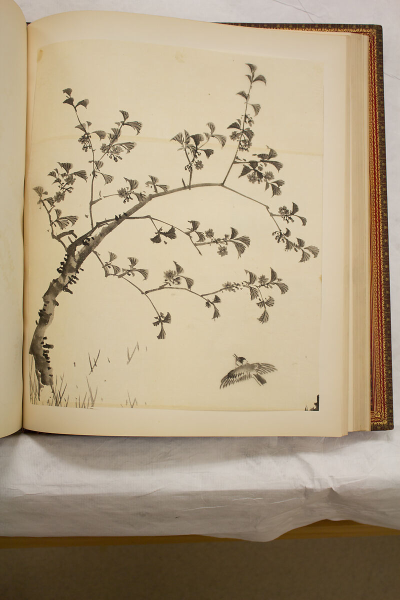 Album of Sketches and Drawings, Unidentified artist, Album; ink and color on paper, Japan