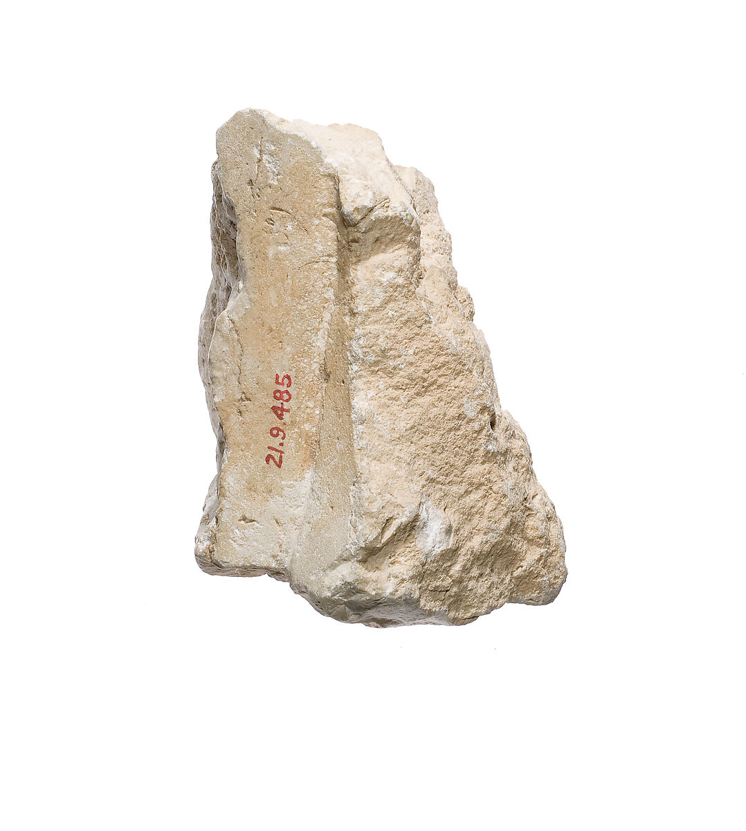 Fragment of upper arm, body, negative space from a double statue holding stela (?), Limestone