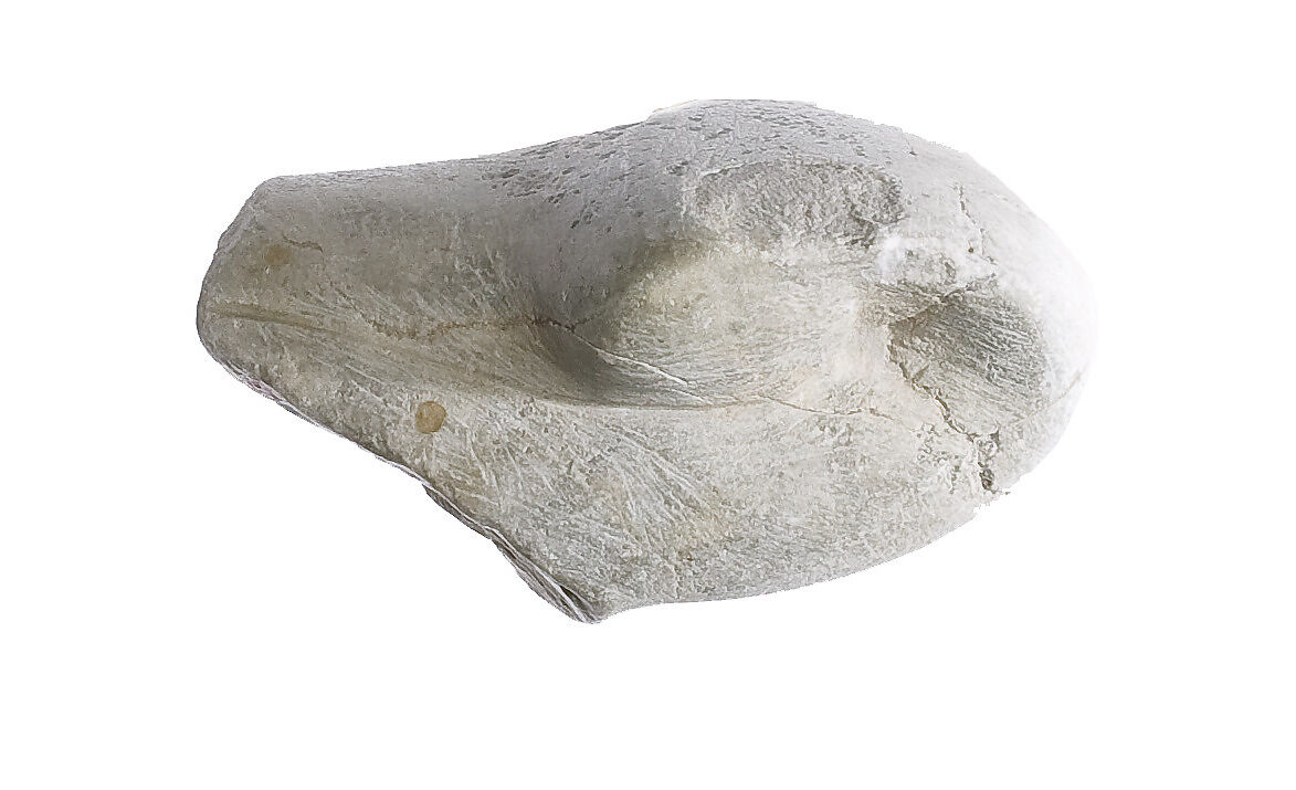 Cobra head, Indurated limestone 