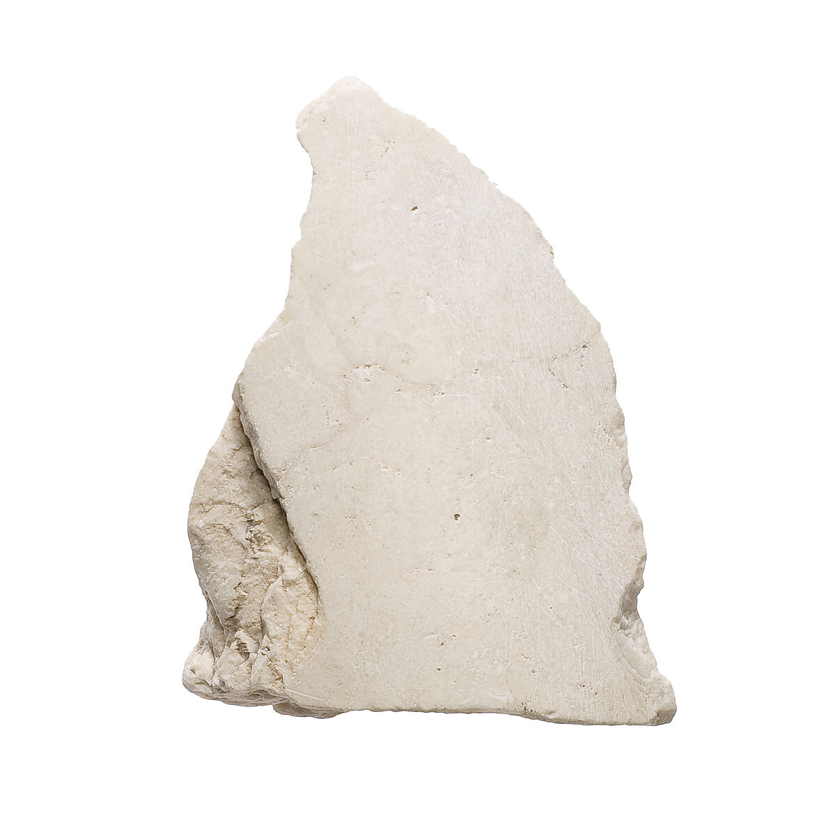 Limb (?), Indurated limestone