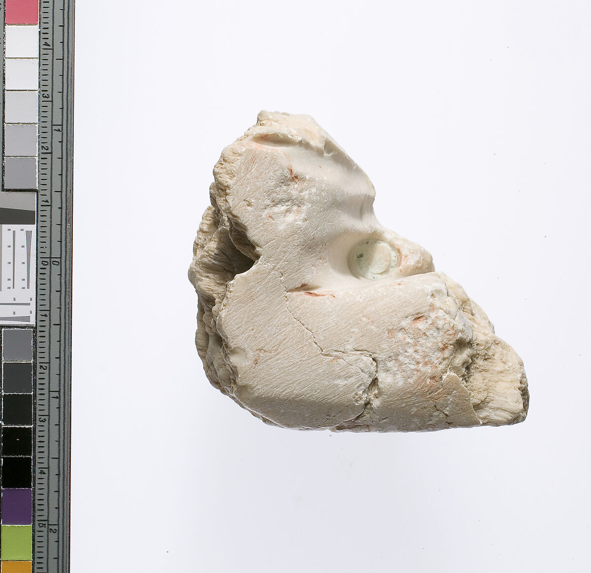 Fragment with working traces, Indurated limestone