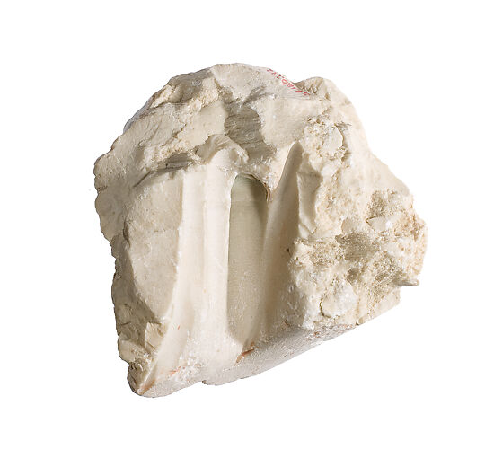Fragment with working traces